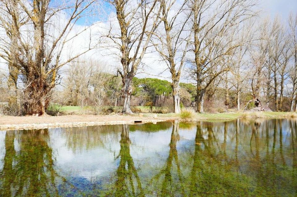 El Perfume Del Almendro Guest House Quintanilla del Agua Eksteriør bilde